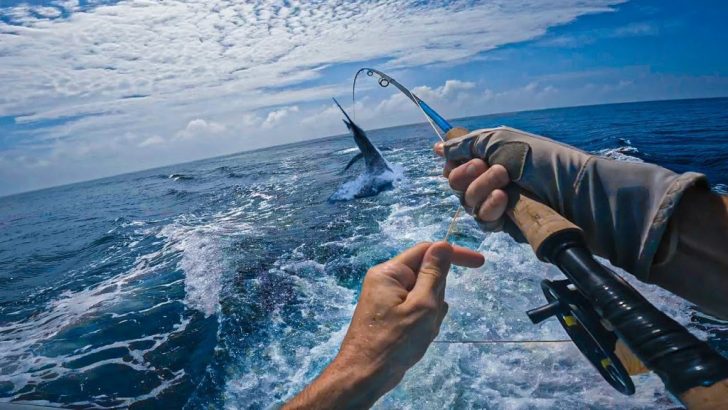 Top 5 Best Fishing Spots in the World to Fulfil Your Fishing Fantasies